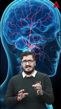 Zomato CEO Ke Kaan Ke Paas Kya Tha? 🤔 #zomato #ugcnetadda247 #currentaffairs #ugcnetpaper1