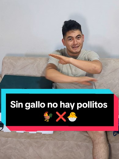 Guía para Incubar Huevos Fertiles con IncubaPro