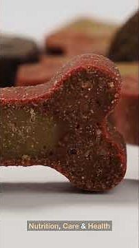 Dogs: Companions Through History 🐕❤️