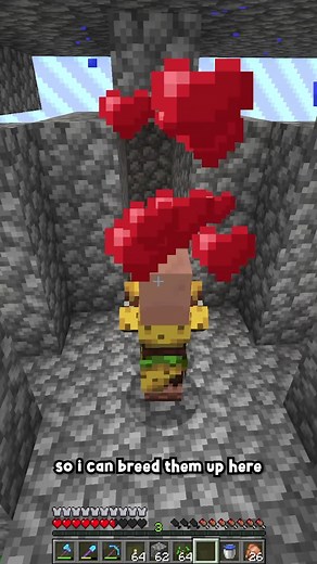 One Chunk Minecraft World Farm Building Challenge