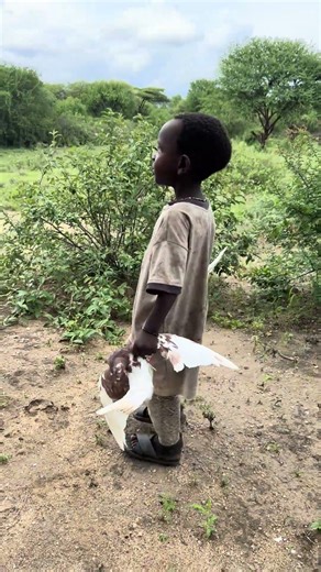 Hadzabe Hunter Explains How They Hunt Wild Pigeons with Bow and Arrow