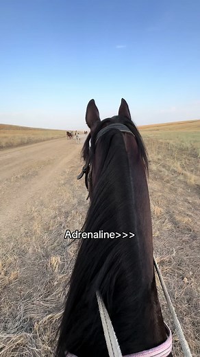 Galloping into Adrenaline: A Hard Sport Experience