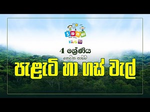 Grade 4- Palati Ha Gaswal |4 ශ්‍රේණිය - පැළැටි හා ගස් වැල්