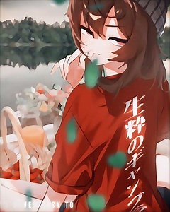 Blurrr Quality Test | Nakayama Festa