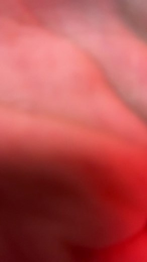 Fast and Aggressive ASMR Follow My Instructions