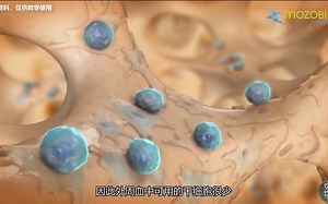 Stem Cell Mobilization