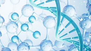 ADN et structure moléculaire