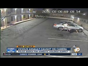 Vicious assault caught on camera