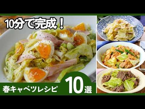 【春キャベツレシピ10選】炒め物・副菜・メインおかずまで、忙しい日でもサッと作れる♪