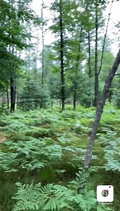 4.6K views · 82 reactions | Testing a new app for my iPhone It...