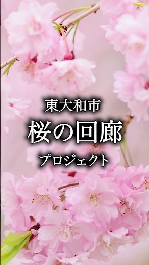 【東やまと市報】桜の回廊プロジェクト（令和8年3月号） #東大和市 #桜 #桜の回廊 #からぼり緑道公園