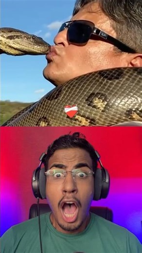 ANACONDA KISS AURA...💀