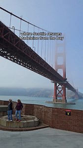 80K views · 2.4K reactions | Explore a famous filming location in San Francisco | The Official Guide at Fort Point!  This historic spot was featured in the film “Vertigo” and is today a National Historic Site with a military museum. ️ Bonus: It has amazing views of the Golden Gate Bridge.   @wanderingcreator_meghana on IG | Visit California | Facebook