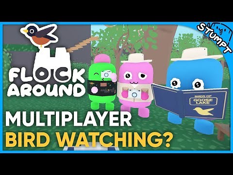 Multiplayer Bird Watching? - Flock Around (Demo Gameplay)