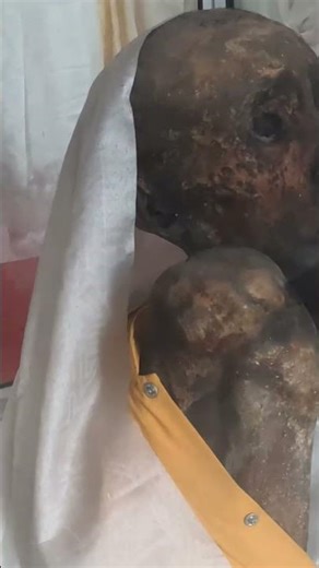 Lama Sangha Tenzin | 500-Year-Old Natural Mummy of Spiti | Mystery of Gue Village