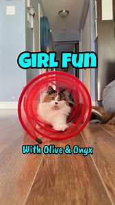 Girl Fun with Olive & Onyx 🖤🤍🧡 | The Oreo Cat