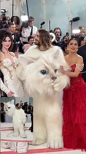 Happy Met Gala🐱