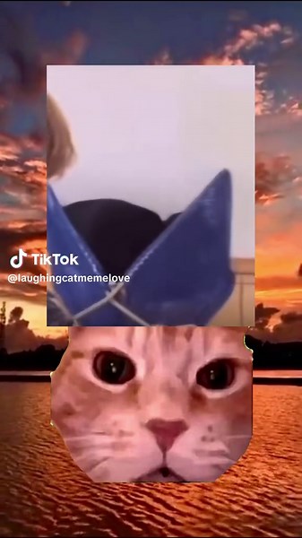 #cat #catmeme #meme #cats #catsoftiktok #catlover #cattok #catlovers #funny #video #laugh #laughing #reaction #viral #viralvideo #viraltiktok #trend #trendingvideo #dontlaughchallenge #lol #trending #trendy #trends #trendingtiktok #trendtiktok #trendtiktok #viral_video #viralvideos #viralditiktok #viralvideotiktok #f #fy #fyp #fypシ #fypシ゚viral #fyppppppppppppppppppppppp #fypdongggggggg #fypage #fypp #fyy #fyyyyyyyyyyyyyyyy #fo #foryou #foryoupage #foryourpage #fouryou #wow #omg #wtf #what #tf #m