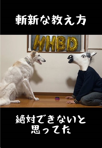 ボルゾイ犬の特徴と注意点