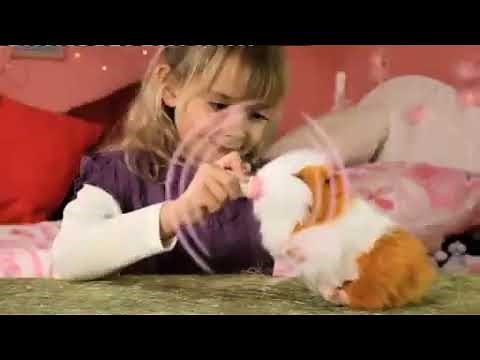 CITV - Get Stuck In! - Continuity (26th December 2009)