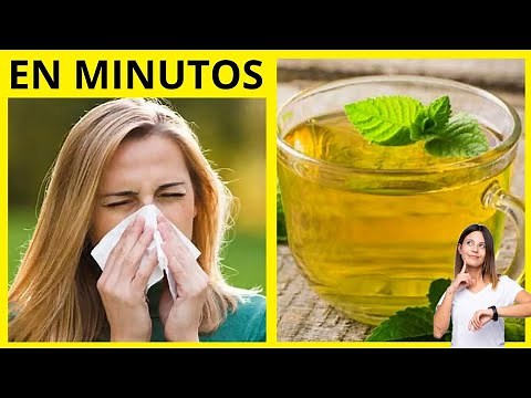 ✅ TÉ DE MENTA // Ideal para la ALERGIA y el RESFRÍO 🤧