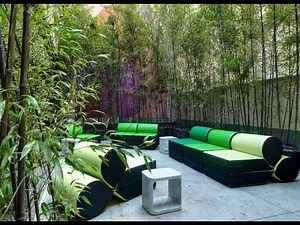 Bamboo In The Garden - A Fascinating And Versatile Plant