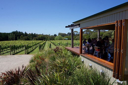 Mornington Peninsula Wine Tours - Tailored, Private, Fun - Wine Compass
