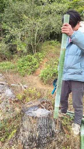 Bamboo Splitting Technique for Crafts and Projects