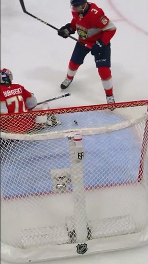 PUCKS ON NET 🗣️