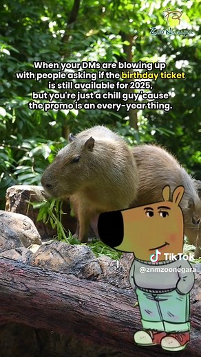 Yup, the birthday free ticket promo is still valid for 2025!✌🏻😎 Here’s what you need to know👇🏻 🌟 Only applicable to Malaysians. 🌟 You can redeem your birthday ticket anytime within 30 DAYS from your birthday date. 🌟 You can’t redeem it before your birthday date❗ 🌟 How to redeem: On your visit day, just scan the QR code at the walk-in counter to fill out a quick online form. After that, go to the Ticketing Counter for IC verification (we only accept ORIGINAL MyKad/ MyKid‼️) and grab your 