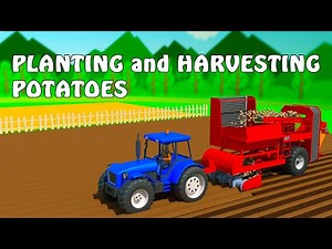Tractor Planting and Harvesting Potatoes | 3D Cartoon for Kids