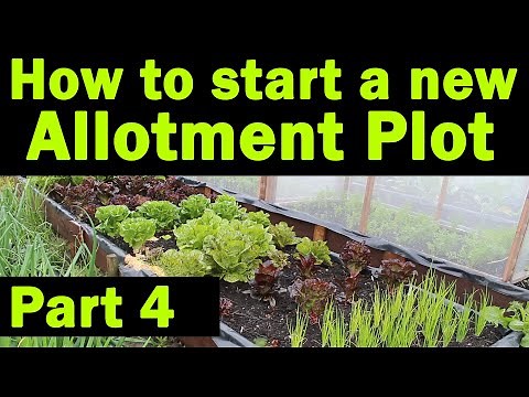 Start a new Allotment Plot | Crop Rotation | Allotment Garden | Drawing a plan | Part 4