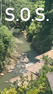 1.5K views · 66 reactions | Oliver Tree on Reels | Facebook