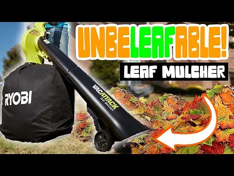 [NO RAKING] Ryobi Vacattack Battery Leaf Vacuum Mulcher Review