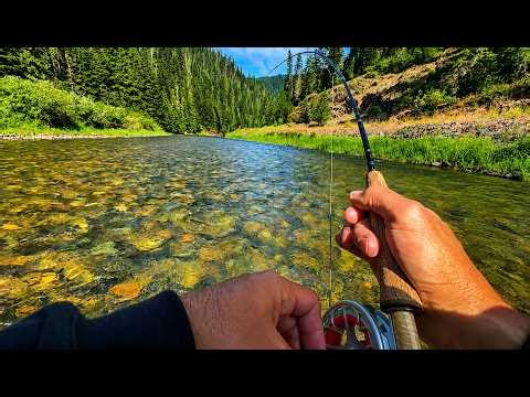 Sometimes the BEST Fishing is Just in Front of Camp