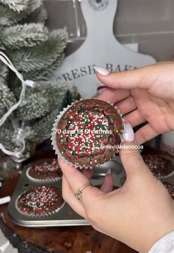 70 Days Till Christmas: A Festive Countdown with Navidad y Cocoa ✨