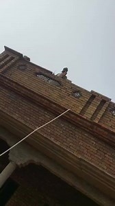 404K views · 7.6K reactions | Front design #FrontElevationIdeas #HomeMakeover | Dream Building design | Facebook