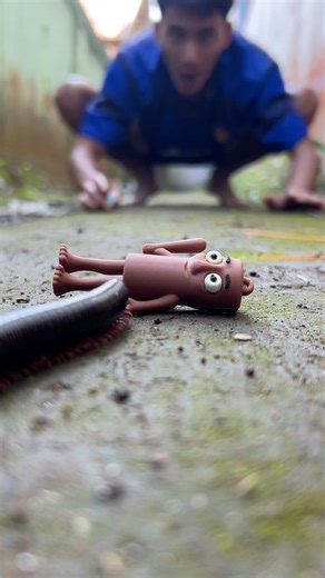 When the millipede left my sahur tutung, I replaced it with crystal candy.#shorts#centipede