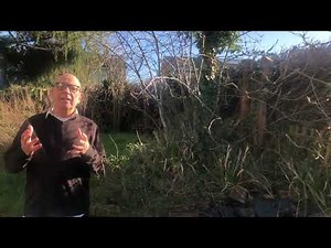 Sometimes It Just Seems To Be Too Much by Ted Loder - Weekly Poetry #69 - Anthony Roberts