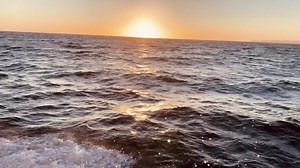 Free video - Sunset, Twilight, Darling, Horizon