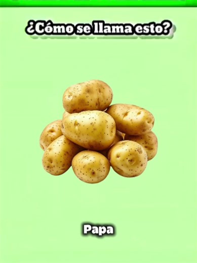 Spanish Vocabulary Test for Beginners