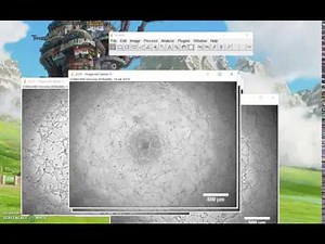 ImageJ Tutorial How to add scale bar for multiple images quickly