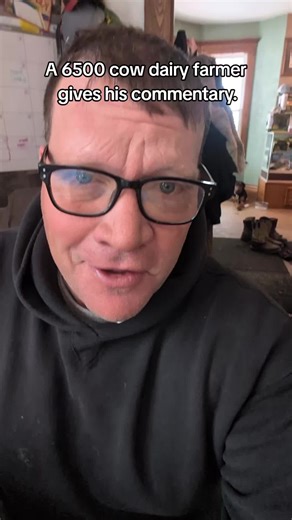 Understanding Modern Dairy Farming Challenges