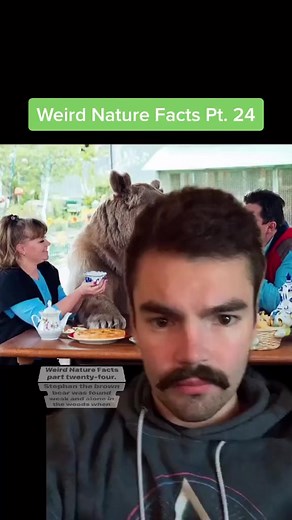 The bizarre truth about cockroach milk 🪳🥛 #weird #nature #facts | Morbid Facts