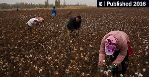 Manchu, Former Empire’s Language, Hangs On at China’s Edge