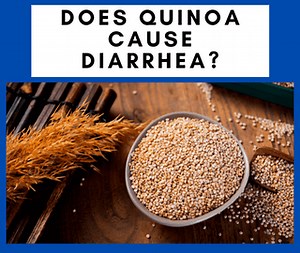 Does Quinoa Cause Diarrhea? (Here's The Answer) - NatureWord
