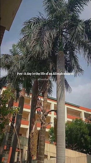 A Day in the Life of an Alimah Student🌷#viral #shorts #islam #muslimah #alimah #trending #foryou #yt