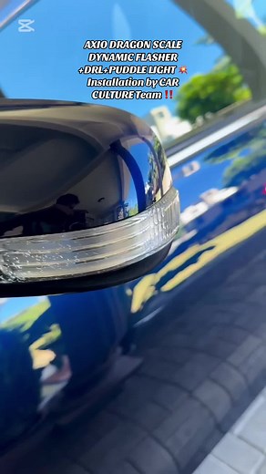 Axio Dragon Scale Dynamic Flasher Installation Guide