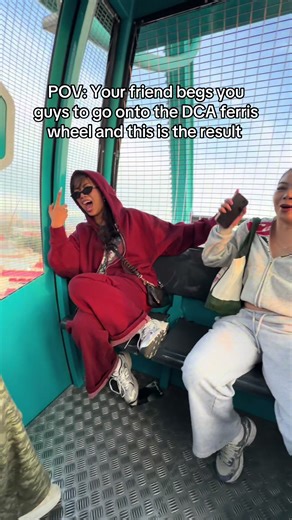 Facing Fears on the DCA Ferris Wheel: A Hilarious Adventure