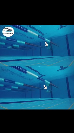 Dolphin kick 😍 #swimtime #swimming #swimmingfun #swimmingpool #blueswim #swimmingcoach #swimmerlife #swimmingfun #swimtime #swimmingtime #swimming #swimminglessons #swimmingpool #swim #swimmingday | Blue Swim